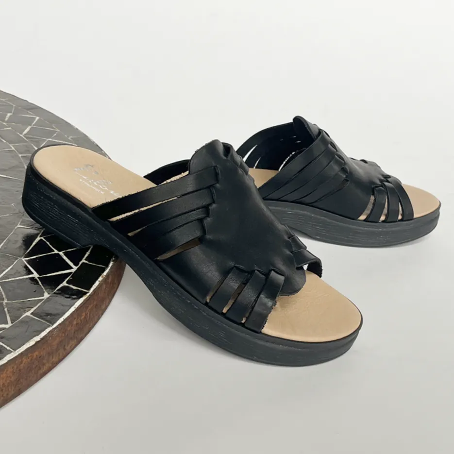 Andrea Black Mule Clog