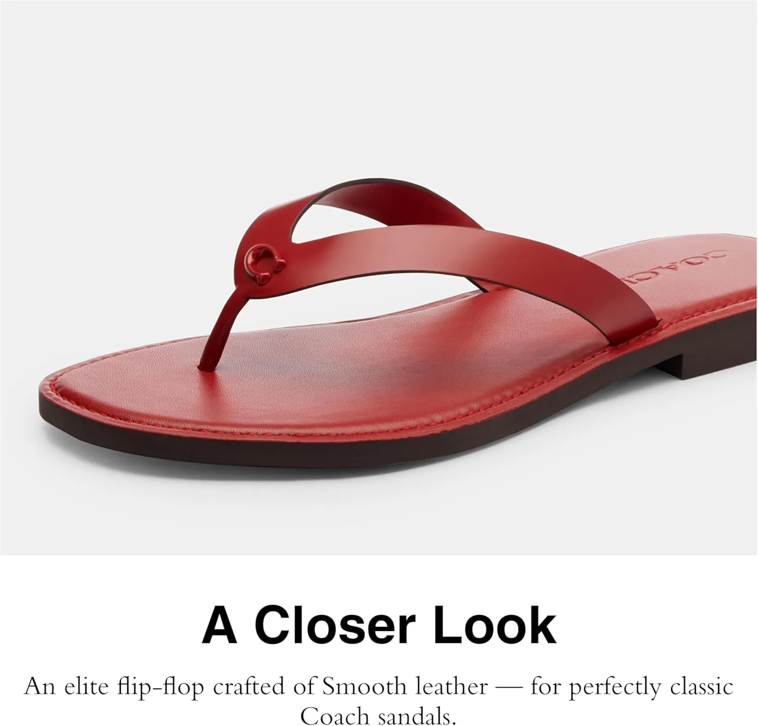 Coach Women's Brianna Flip Flop Flat Sandals