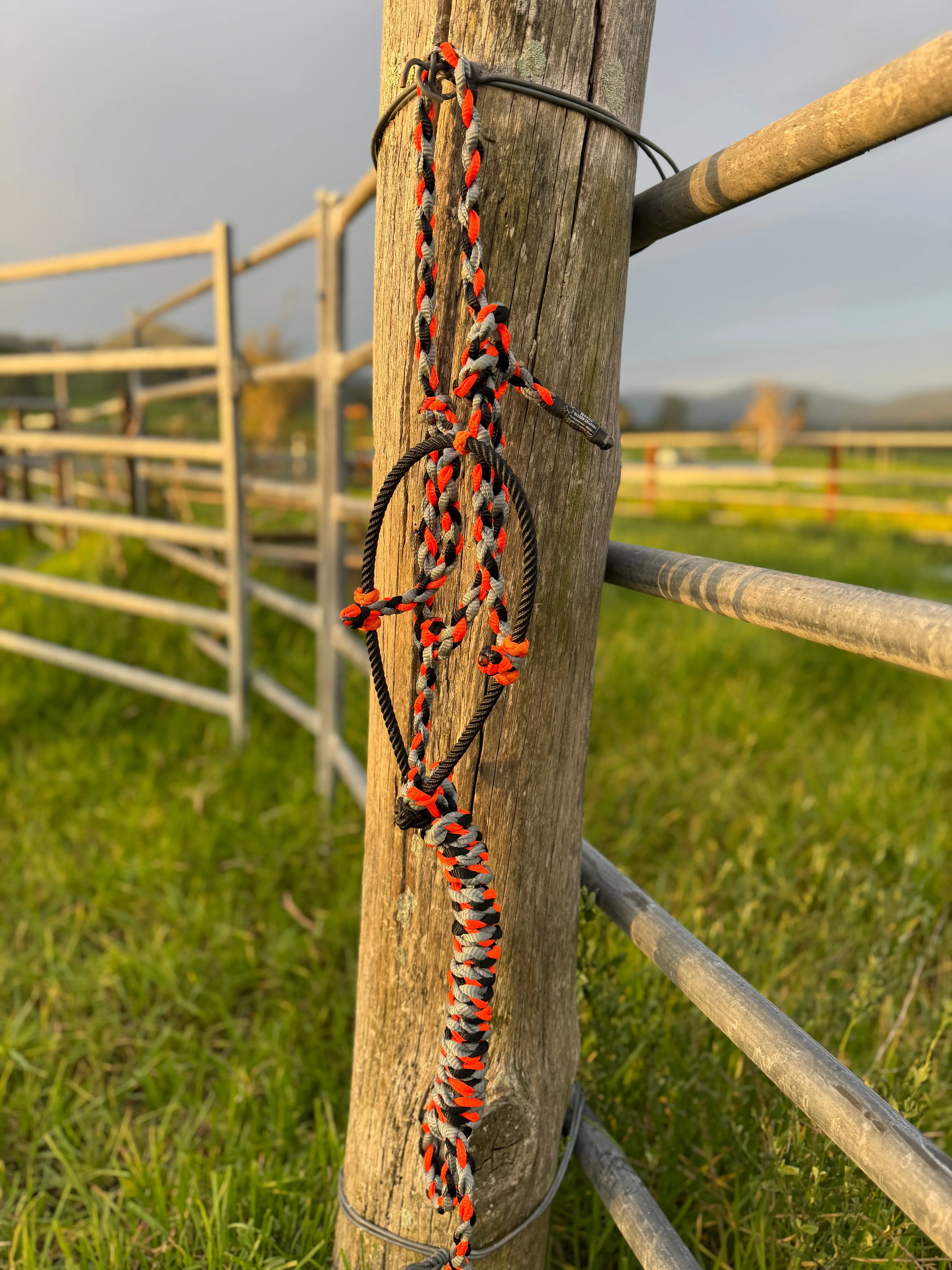 Cowboy Halter with Lariat Noseband - Orange Black Sliver