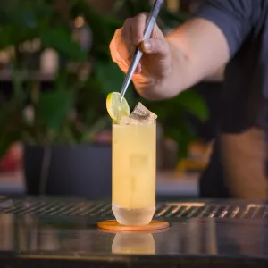 Masala Mule