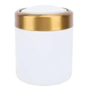 Mini Trash Can with Lid, Desktop Trash Can, Stainless Steel Stylish Desktop Waste Basket Small Garbage Can with Lid, for Living Room Kitchen Office (White)